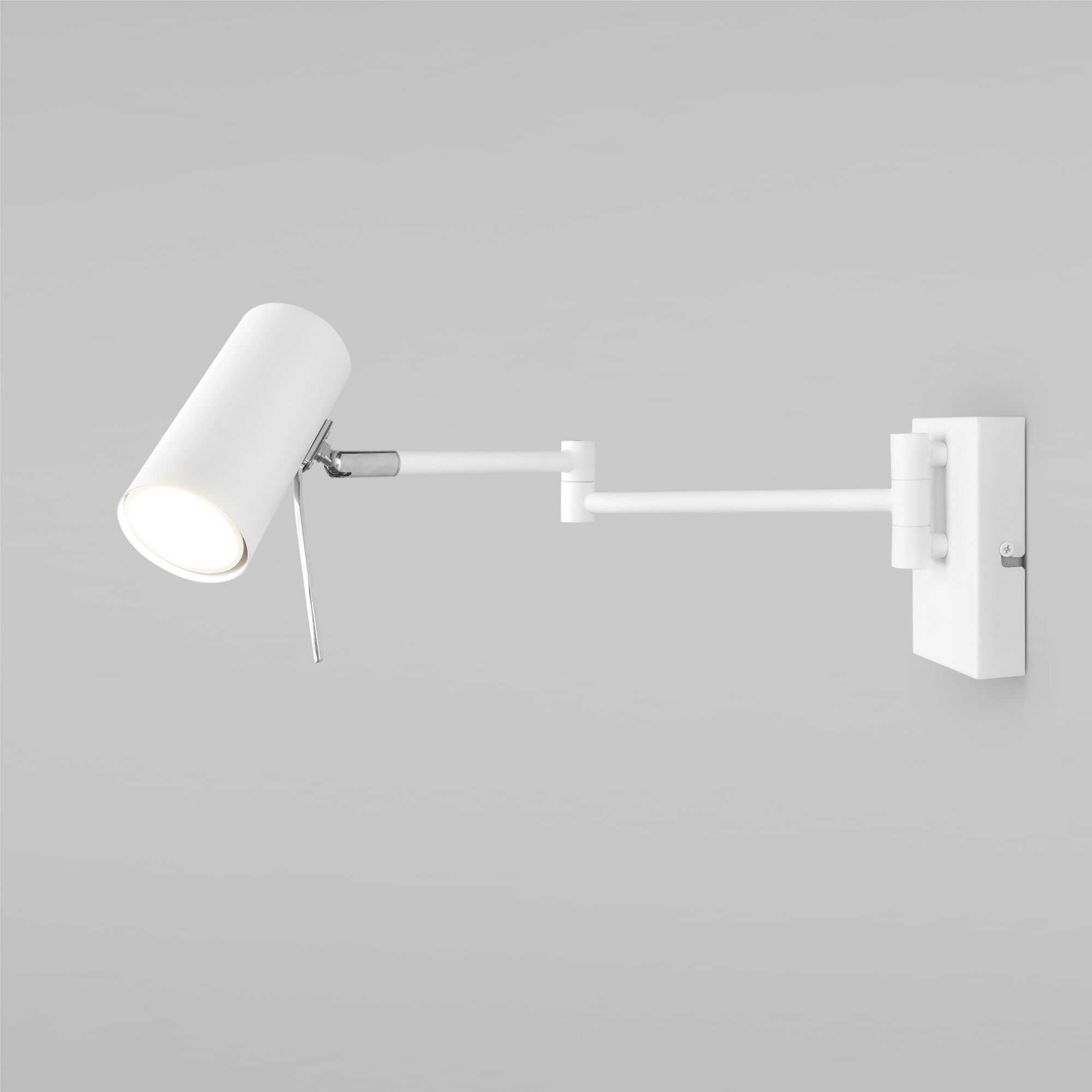 Настенный светильник с поворотным плафоном Eurosvet Lank a060718 20166/1 белый фото