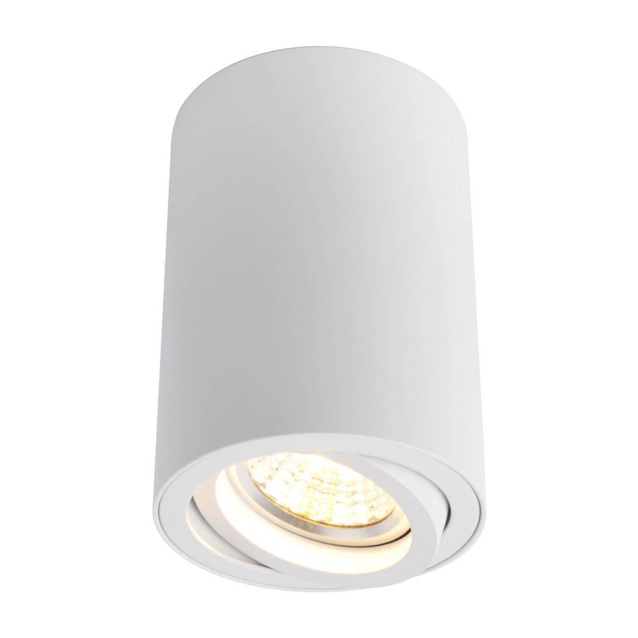 Потолочный светильник Arte Lamp A1560PL-1WH фото