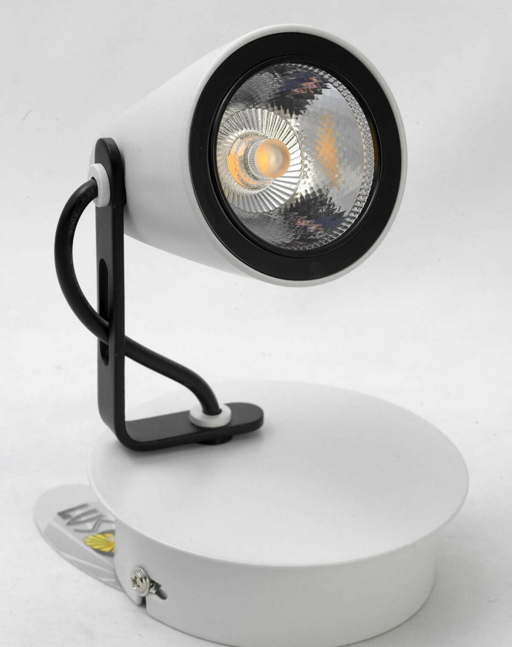 Настенно-потолочный светильник Lussole Merano LSN-4101-01 фото