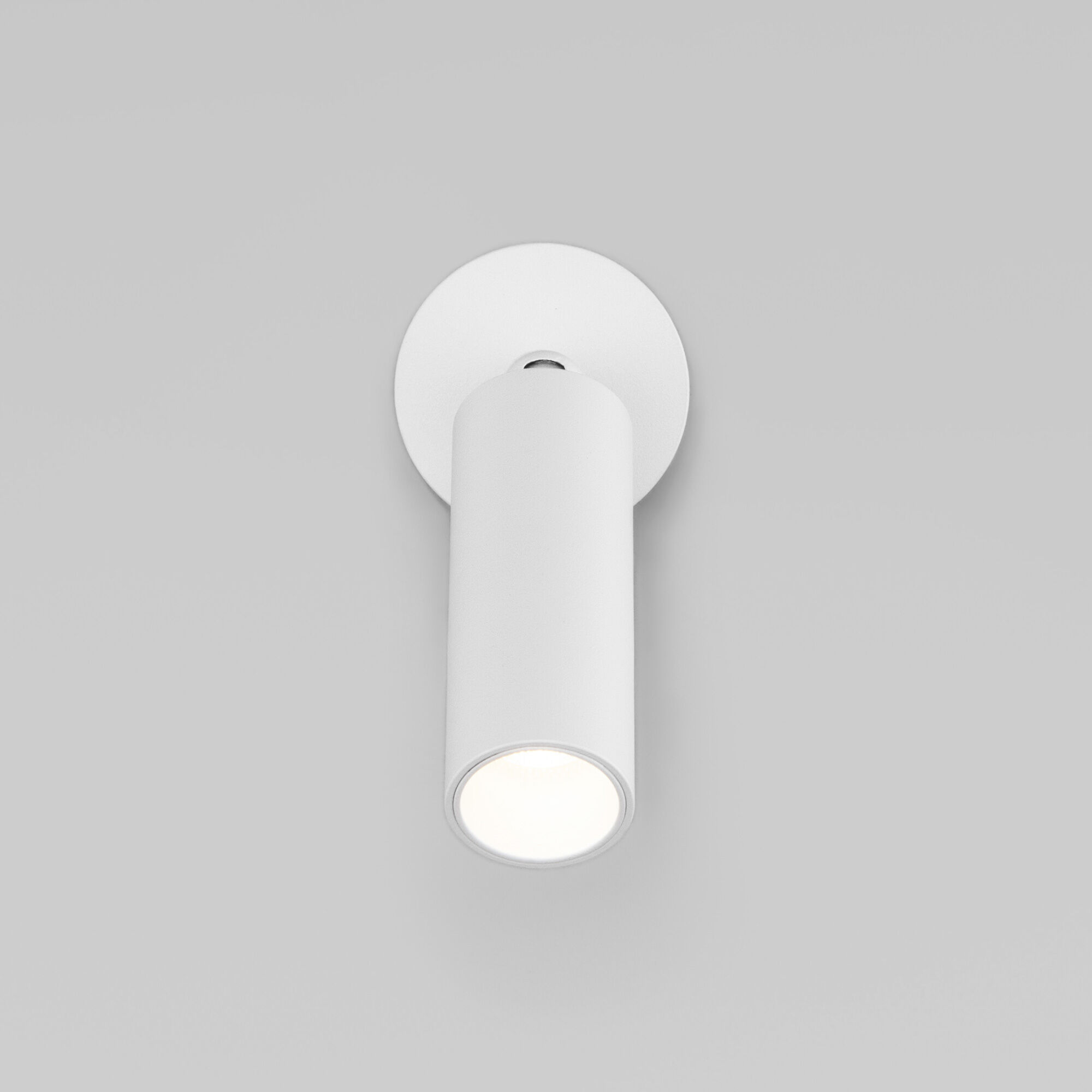 Светодиодный светильник Eurosvet Pin a058948 20133/1 LED белый фото