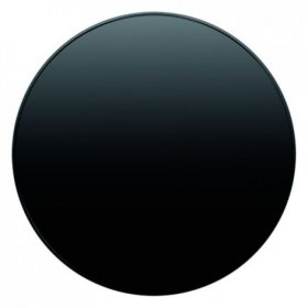 11372045 Центральная панель с регулирующей кнопкой R.1 цвет: черный Berker фото