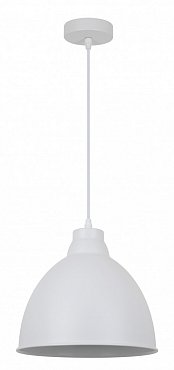 Подвесной светильник Braccio A2055SP-1WH Arte Lamp фото
