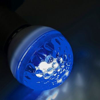 Лампа строб e27 50мм синяя NEON-NIGHT 411-123 фото