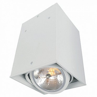 Потолочный светильник Arte Lamp Cardani A5936PL-1WH фото