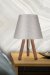 Интерьерная настольная лампа Sophia TL1619T-01BG TopLight фото